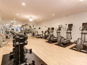 Alexandria apartment for rent - A gym with a variety of exercise equipment including treadmills, stationary bikes, and weight machines.