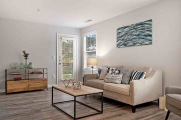 Alexandria apartment for rent - A living room with a couch, coffee table, and a painting on the wall.