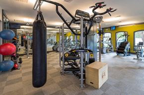 Austin apartment for rent - the gym at the apartments for rent
