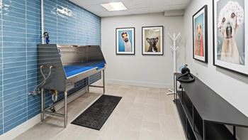 Pet wash