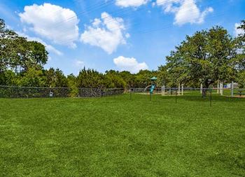 Bark park view
