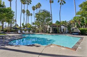San Clemente apartment for rent - A pool surrounded by palm trees and a building in the background.