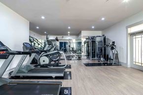 Charlotte apartment for rent - A spacious gym with a variety of equipment including treadmills, elliptical machines, and weight machines.