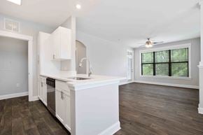 Charlotte apartment for rent - kitchen and living room