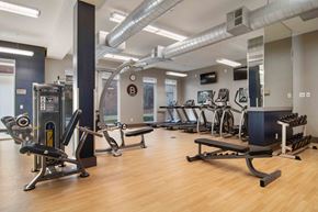 Atlanta apartment for rent - Atlanta, GA Apartments - Biltmore at Midtown - FItness Center