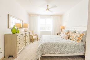 Gilbert apartment for rent - One BR Apartments in Gilbert AZ - Curve at Gilbert - An interior shot of the bedroom featuring a ceiling fan, window coverings, and plush carpeting