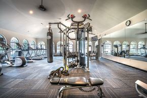 Mckinney apartment for rent - A gym with a variety of equipment including a punching bag, treadmill, and weight bench.