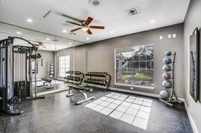 Houston apartment for rent - a home gym with a window and weights machines and a ceiling fan