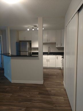 Plymouth apartment for rent - wood-style flooring