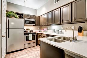 Round Rock apartment for rent - updated kitchen with stainless steel appliances