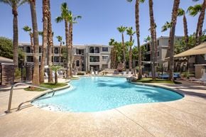 Phoenix apartment for rent - North Phoenix, AZ Luxury Apartments - Ironhorse at Tramonto - Seasonally Heated Pool Surrounded by Tall Palm Trees, Tanning Chairs, And Umbrellas.