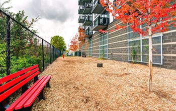 Dog park