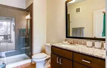 Contemporary bathrooms