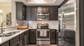 Mckinney apartment for rent - a kitchen with stainless steel appliances and black cabinets