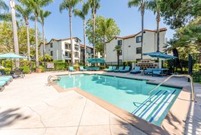 San Diego apartment for rent - 1-Bedroom Apartments in La Jolla, CA - Mirada at La Jolla Colony - Outdoor Pool With Palm Trees, Aqua Lounge Chairs, Shade Umbrellas, Metal Fence, and Apartment Buildings In The Background.