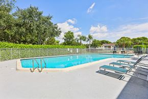 Sunrise apartment for rent - A swimming pool surrounded by trees and a fence.
