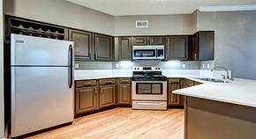 Round Rock apartment for rent - Regency at dell ranch large spacious kitchen brown kitchen cabinets