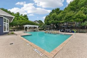 Round Rock apartment for rent - A pool with a no diving sign on the side.