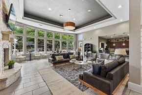 Round Rock apartment for rent - A modern living room with a stone fireplace and a large window.