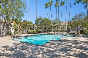 San Clemente apartment for rent - A pool surrounded by palm trees and a clear blue sky.