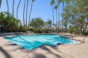 San Clemente apartment for rent - A large swimming pool surrounded by palm trees.
