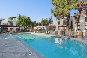 Walnut Creek apartment for rent - A swimming pool surrounded by trees and chairs.