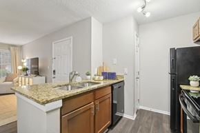 Marietta apartment for rent - A kitchen with a granite countertop and a black refrigerator.