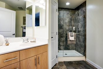 Sleek bathroom finishes with showers or oversized soaking tubs*