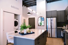 St. Louis apartment for rent - A kitchen with a white counter and a plant on it.