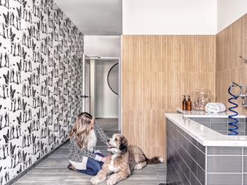 Pet spa