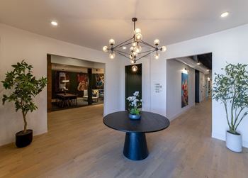 Art gallery inspired interiors