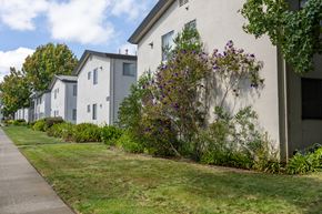San Mateo apartment for rent - A row of houses with a sidewalk in front.