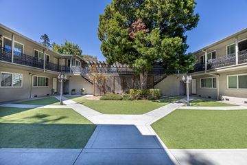 San Jose apartment for rent - A courtyard with a tree and a building with balconies.