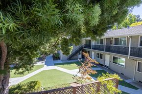 San Jose apartment for rent - a view of the backyard of an apartment building with a lawn and trees
