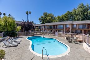 San Jose apartment for rent - A small pool surrounded by chairs and trees.