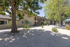 Gilroy apartment for rent - A tree in front of a building with a gravel area in the foreground.