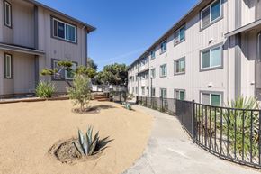 Salinas apartment for rent - A concrete courtyard with a small tree and a fence.