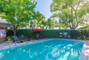 San Jose apartment for rent - Pool