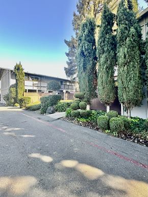 Mountain View apartment for rent - a street in front of a building with trees and bushes