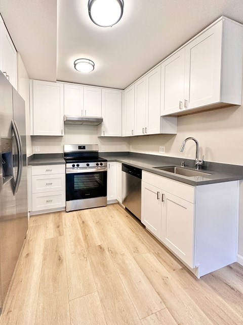 Floor plan for studio, 1 bath, 530 sqft