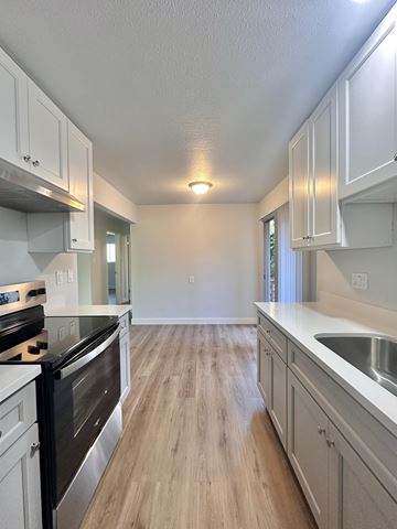 South San Francisco apartment for rent - A kitchen with white cabinets and a black stove top oven.