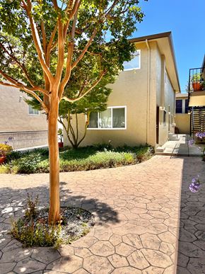 San Jose apartment for rent - a tree in front of a building
