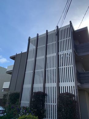 San Mateo apartment for rent - Property Building
