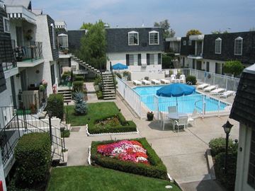 San Jose apartment for rent - A pool surrounded by a patio and a small garden.
