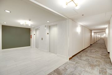 Arlington apartment for rent - A long hallway with white walls and a carpeted floor.