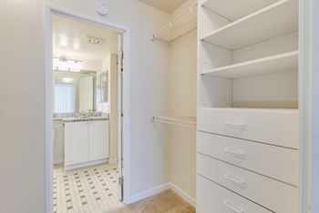 Walk-in closet with shelving and drawers