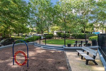 Dog park