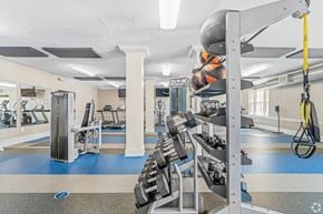 Washington apartment for rent - A gym with a variety of equipment including free weights, medicine balls, and strength machines at Kew Gardens in Georgetown, Washington DC 20007