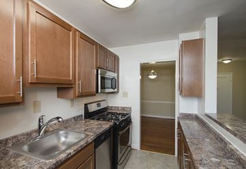 Alexandria apartment for rent - a kitchen with a sink and a stove and a refrigerator