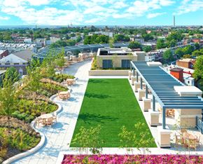 Washington apartment for rent - Rooftop terrace with grills at Park Place at Petworth, Washington, DC 20011